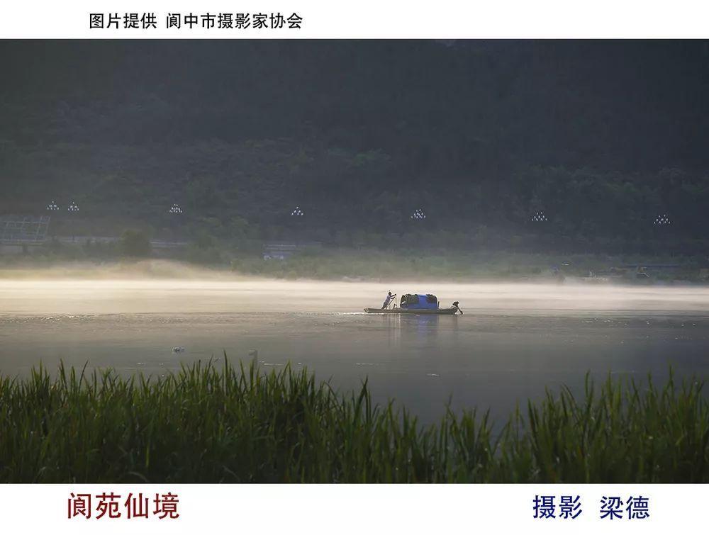 探索亲 你们知道这是什么吗?的知识问答平台