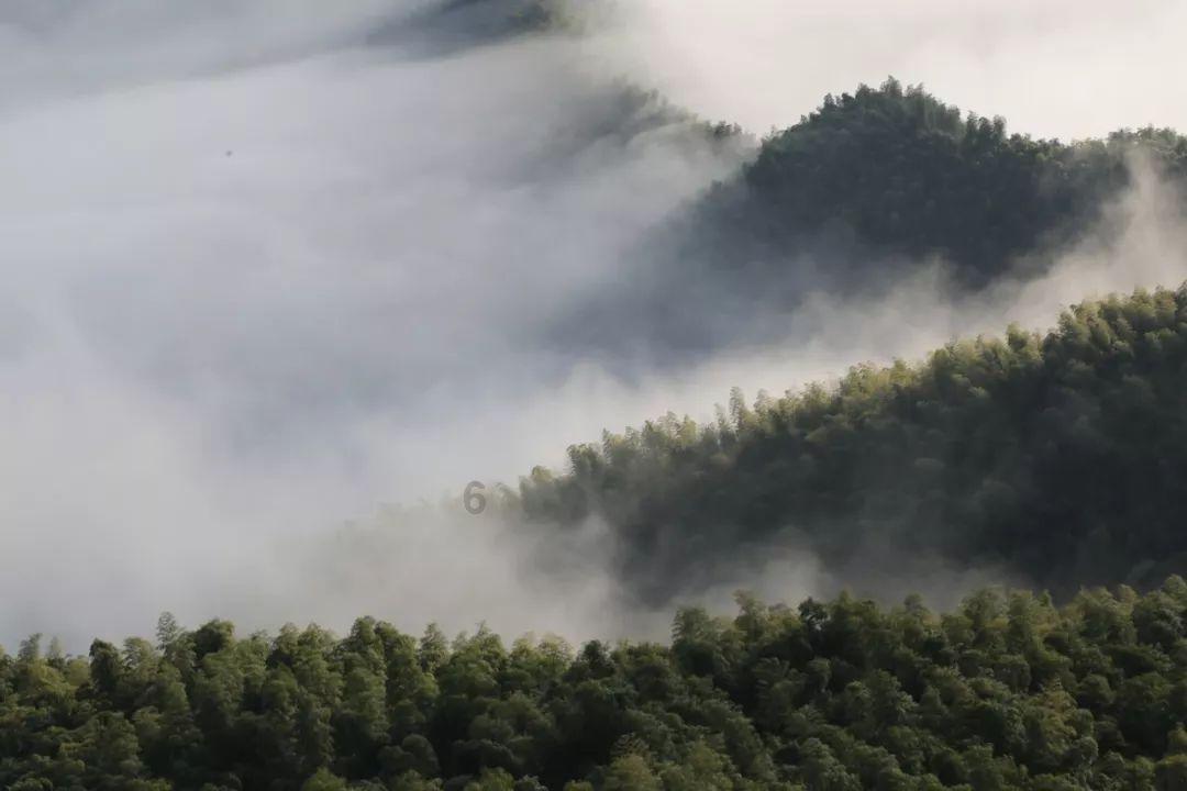 900000000000000000000000000怎么读-有问必答平台,解答你的疑问